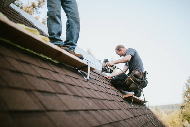Best Roof Gutter Cleaning  in Tyrone, GA