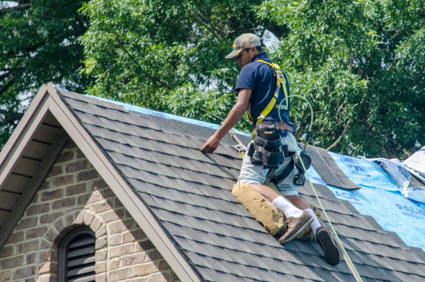 Best Gutter Installation and Roofing  in Tyrone, GA